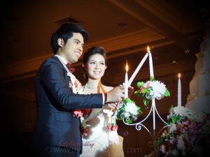 งานเเต่งงาน catzilla wedding