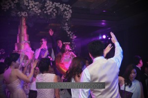วงดนตรี After Party งานแต่งงาน The Catzilla music