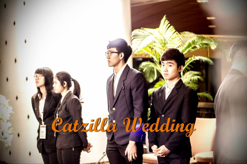 งานเเต่งงานCatzilla